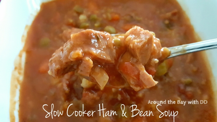 Slow Cooker Ham and Bean Soup